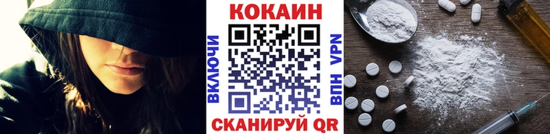 КОКАИН Fish Scale  Купить закладки  Судогда 