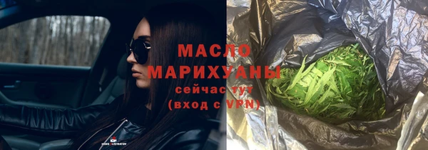 мет Ельня