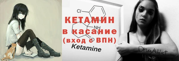 мет Ельня