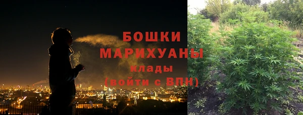 мет Елабуга